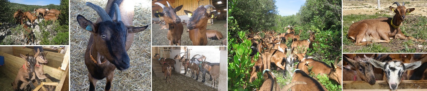 Ferme de l'Hort